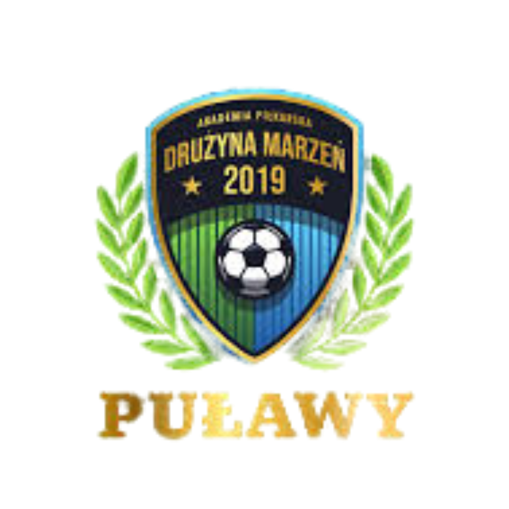 Drużyna Marzeń Puławy logo